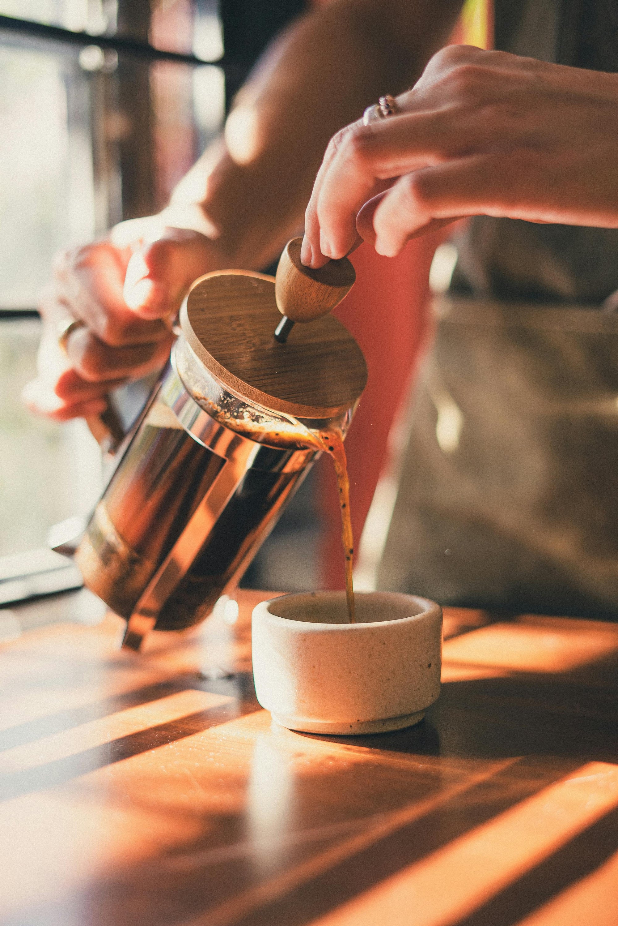 The French Press Guide