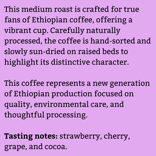 Ethiopia Guji Organic Kayon Mountain